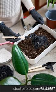 preparation of soil substrate for planting houseplant into a pot.. preparation of soil substrate for planting houseplant into a pot