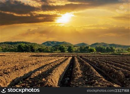 Prepare the planting.The conversion of vegetable crops of farmers with sunrays