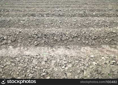 prepared farm soil with parallel rows for planting
