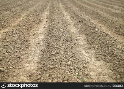 prepared farm soil with parallel rows for planting