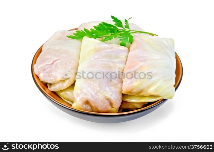 Prepared stuffed cabbage with minced, parsley in a dish isolated on white background