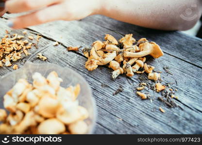 Preparing chanterelle mushrooms on an old rustic wooden table