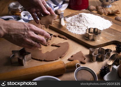 preparing for christmas. girl prepares gingerbread. hands in the frame