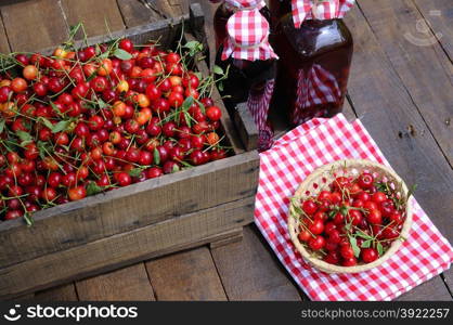 Preparing homemade cherry liqueur in the garden