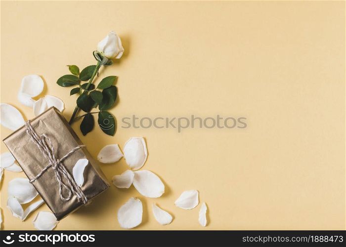 present with rose petals copy space . Resolution and high quality beautiful photo. present with rose petals copy space . High quality and resolution beautiful photo concept