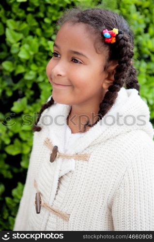 Pretty African American Girl With Braids Outdoors