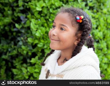 Pretty African American Girl With Braids Outdoors