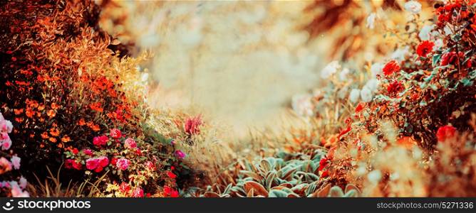 Pretty autumn background of sunny day with various garden or park flowers and fall foliage, banner