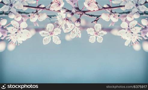 Pretty cherry blossom floral border on pastel blue background