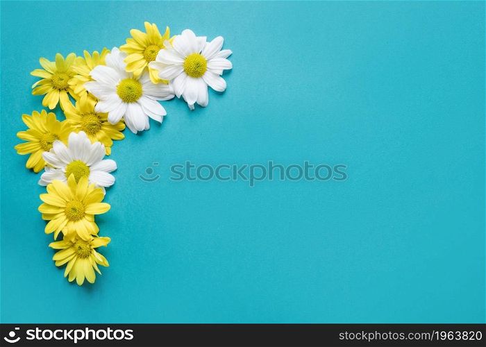 pretty daisy composition. High resolution photo. pretty daisy composition. High quality photo