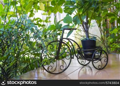 Pretty Decoration in green garden outdoors in day time