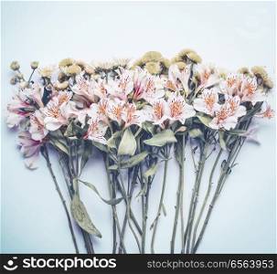 Pretty flowers on pastel blue background, top view. Floral layout or card