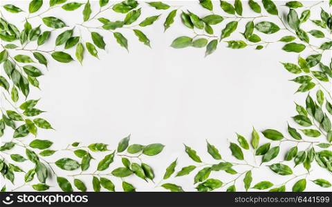 Pretty Frame made of green branches and leaves on white background. Flat lay, top view, horizontal, banner