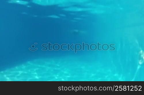 Pretty girl in bikini swimming in the pool underwater