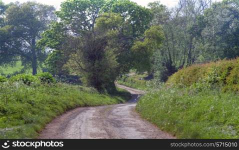 Pretty lane in springtime at Baker?s Hill near Chipping Campden, Gloucestershire, England.