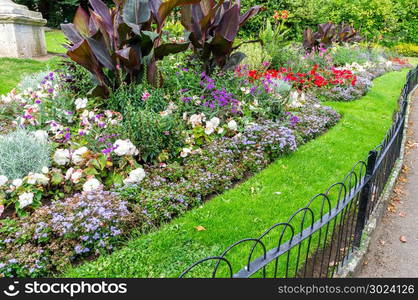 Pretty manicured flower garden with colorful azaleas.