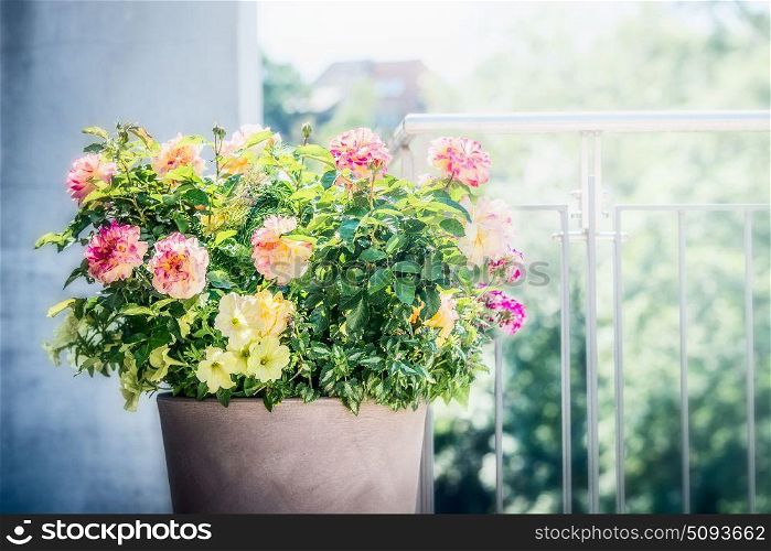 Pretty patio pot with floral arrangements: roses, petunias and verbenas flowers on balcony or terrace. Urban Container planter gardening