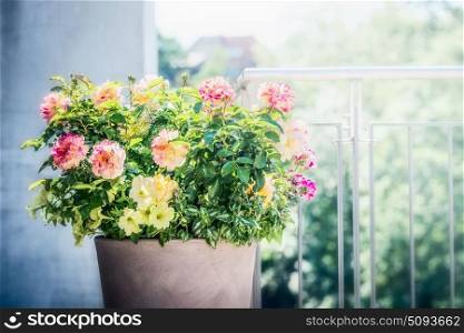 Pretty patio pot with floral arrangements: roses, petunias and verbenas flowers on balcony or terrace. Urban Container planter gardening
