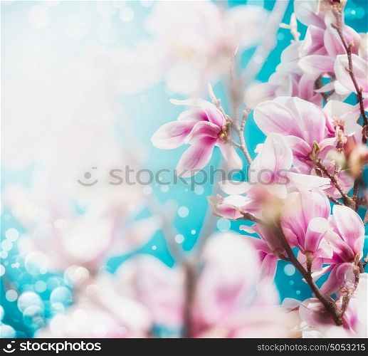 Pretty pink blossom of magnolia tree at blue sky background, close up