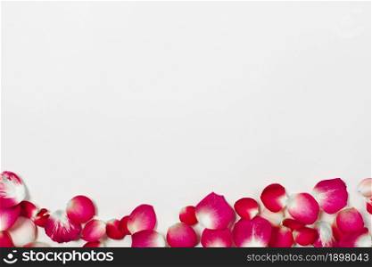 pretty rose petals. Resolution and high quality beautiful photo. pretty rose petals. High quality beautiful photo concept