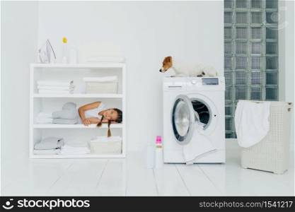 Pretty small child with pigtails lies on shelf of white console with neatly folded clean towels, poses in laundry room, pedigree dog sits at top of washing machine, basket full of dirty linen