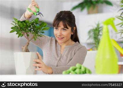 pretty smiling woman trimming a bonsai