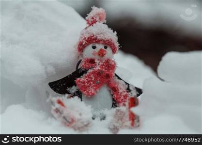 Pretty Snowman on snowy New Year 2021  date background