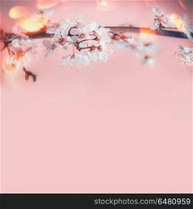 Pretty spring background with white cherry blossom at pastel pink background with sunny bokeh, border