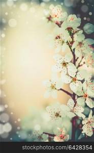 Pretty spring blossom floral frame