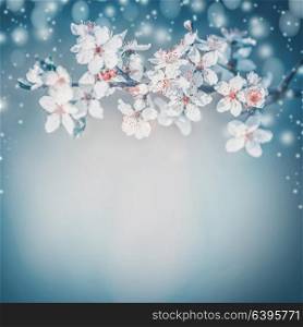 Pretty Springtime blossom. White cherry spring bloom , flowers at turquoise blur nature background. Blossoming of flowers, close up