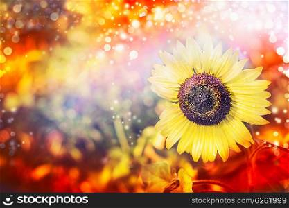 Pretty sunflower at autumn nature background in garden or park. Fall colored, horizontal