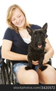 Pretty teen girl in a wheelchair holding her Scotty dog. White background.
