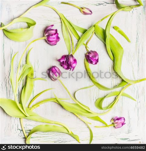 Pretty tulips flat lay on light shabby chic background, top view, floral pattern