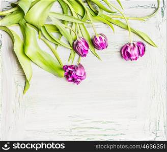 Pretty tulips , flowers on white wooden background, top view, border