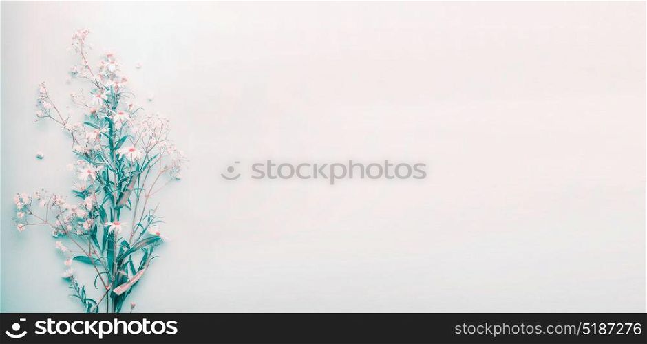 Pretty wild daisies flowers on blue pastel background, top view, banner