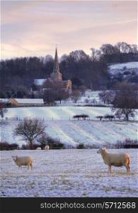 Pretty winters scene at Saintbury with church and sheep, Chipping Campden, Gloucestershire, England.