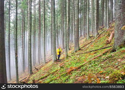 Pretty woman in mystery forest. Pretty woman in mystery forest with mist