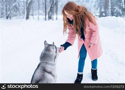 Pretty woman with playful husky dog, snowy forest on background. Cute girl with funs with charming pet. Pretty woman with playful husky dog