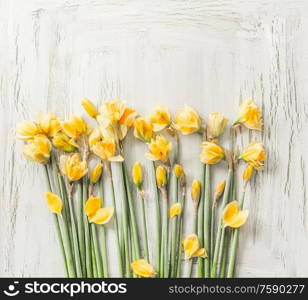 Pretty yellow daffodils flowers on white desktop. Top view. Spring flowers bunch