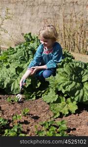 Pretty young girl planting strawberry plants in a garden