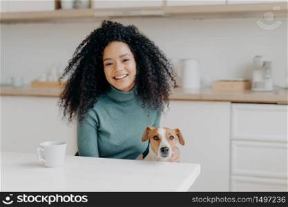 Pretty young lady with Afro hairstyle plays with dog, wears comfortable jumper, drinks coffee or tea in kitchen, going to have walk together, rejoice good weather outdoor. People, animals, spare time