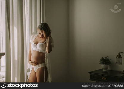 Pretty young pregnant woman standing by the window