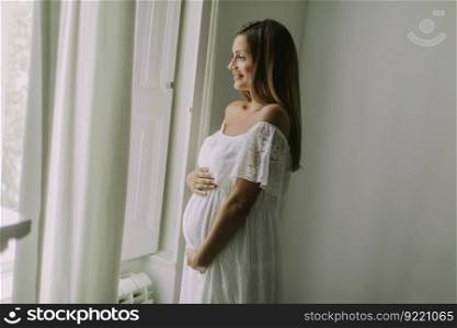 Pretty young pregnant woman standing by the window