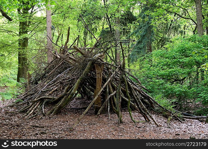 primitive shed in the wood