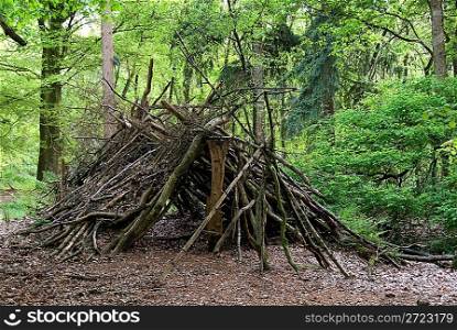 primitive shed in the wood