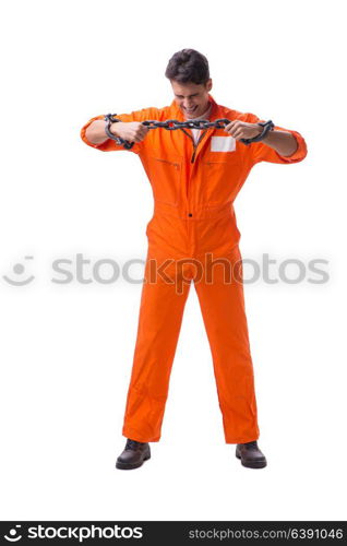 Prisoner with his hands chained isolated on white background. Prisoner with his hands chained isolated on white background