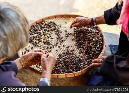 process of sorting dried coffee beans by hand farmers