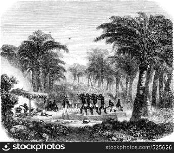 Production of palm oil Whyda, Guinea, Cote Slave, vintage engraved illustration. Magasin Pittoresque 1846.