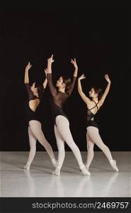 professional ballet dancers leotards