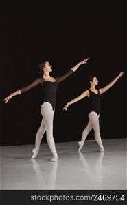 professional ballet dancers leotards dancing pointe shoes